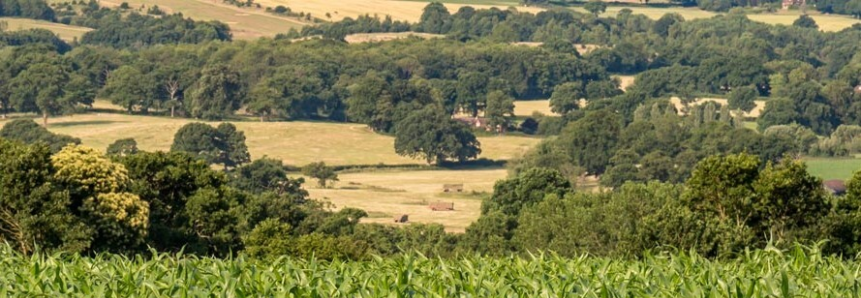 G7 apoia projeto que moderniza licenciamento ambiental no Paraná