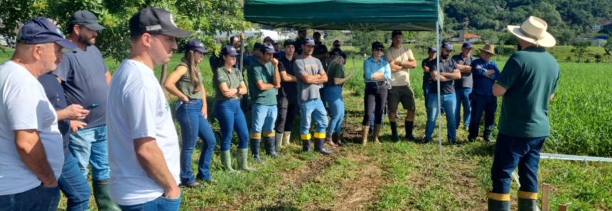 Dia de Campo aborda implantação e manejo de pastagens perenes com foco no capim Tangola