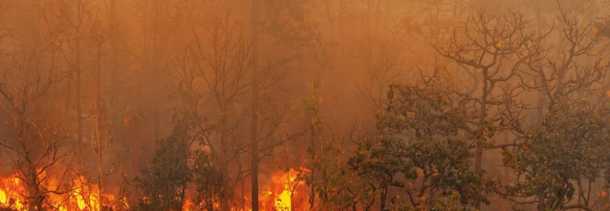 Sistema FAEP reforça combate a incêndios com novos instrutores