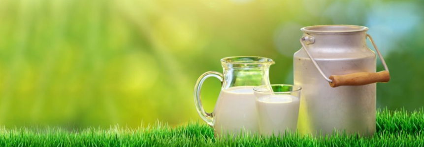 Oportunidades para propriedades rurais de leite no Espírito Santo