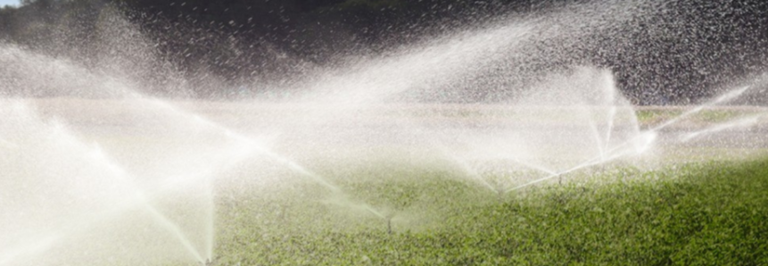 Irrigação e Aquicultura: consumidores rurais devem fazer o recadastramento de suas unidades consumidoras