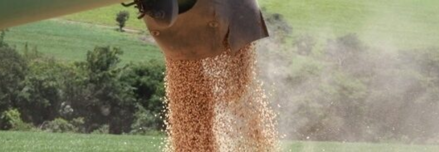 Mato Grosso do Sul registra 43% do plantio da soja