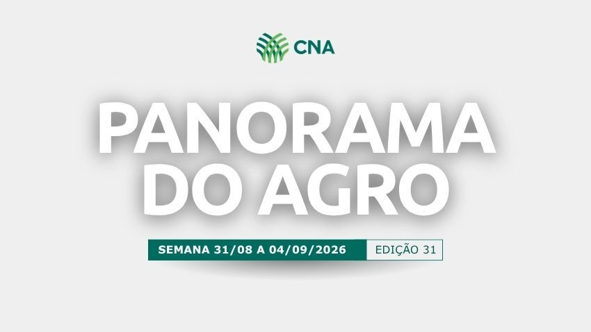 Panorama do Agro | Edição 31
