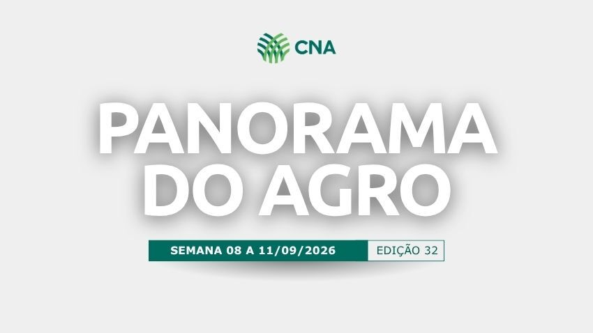 Panorama do Agro | Edição 32