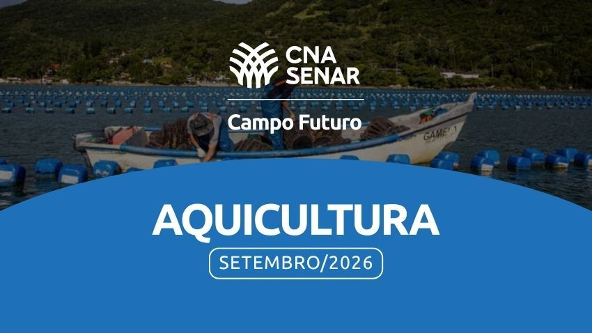 Cenários de mercado e custos na aquicultura
