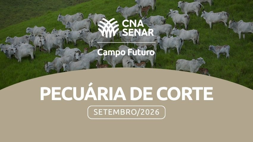 O Custo da improdutividade. Vacas vazias e seus reflexos no custo operacional total.