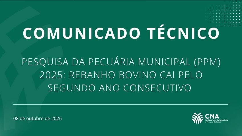 Pesquisa da pecuária municipal (ppm) 2025: rebanho bovino cai pelo segundo ano consecutivo
