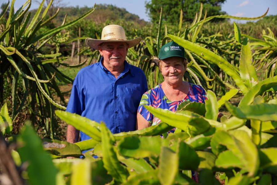Casal pioneiro na produção de pitaya e se torna referência em Bonito com apoio do Senar/MS