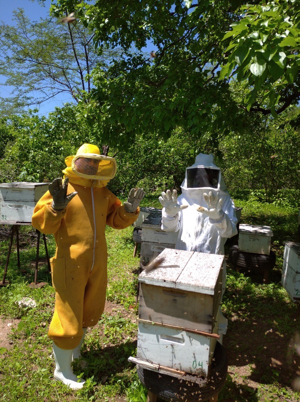 Casal apicultores pb