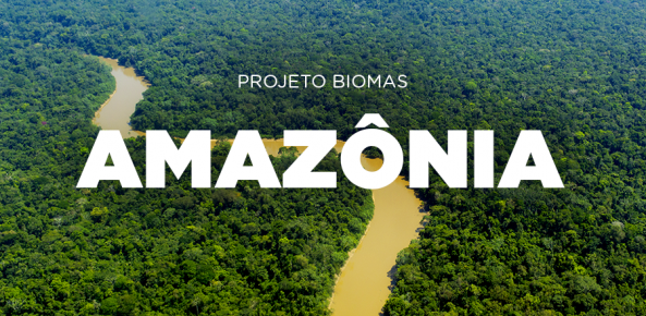 Cna post biomas amazonia 0 230997002015150100901