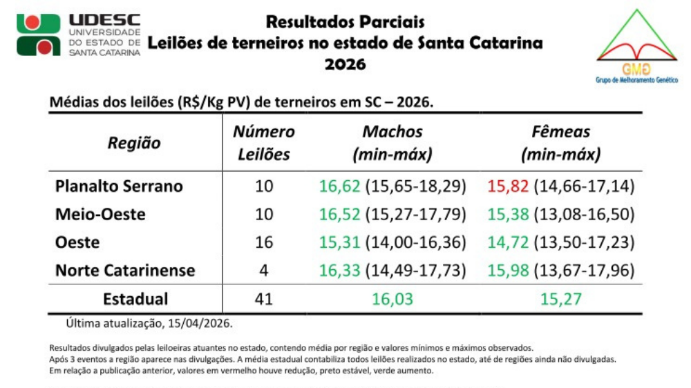 Resultados indicam valorização consistente dos animais, sem sinais de recuo no curto prazo (Divulgação GMG/Udesc)