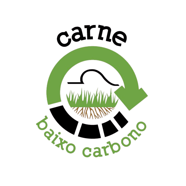 Ícone do botão