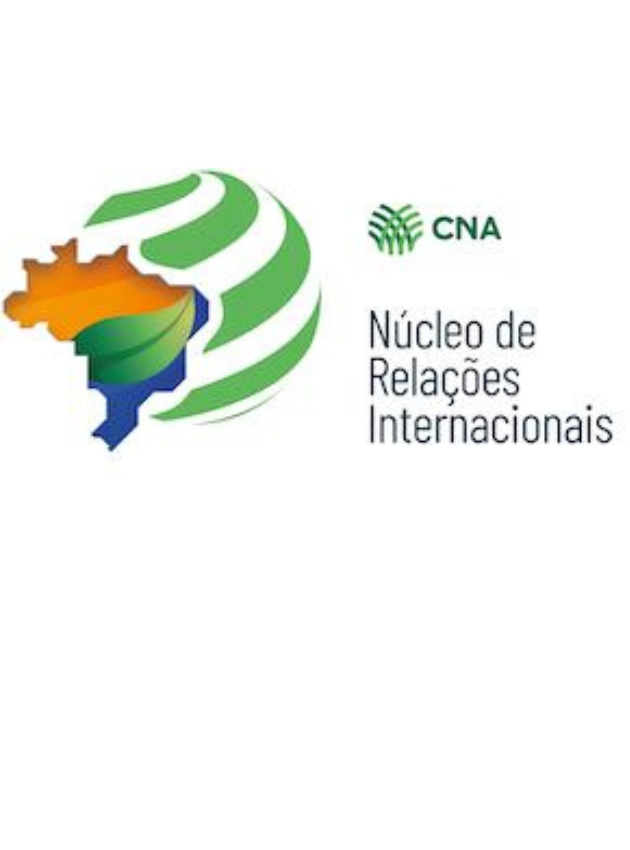 Núcleo de Relações Internacionais